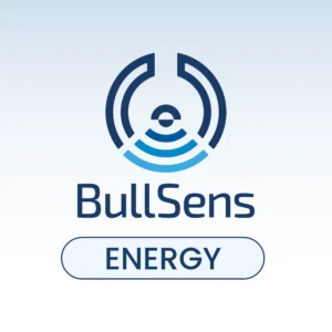 BULLSENS ENERGY